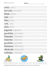 DSS_2S_Bu_h_Nr_10.pdf